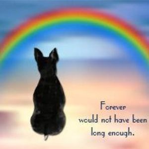 Meet your Posher, Ursu